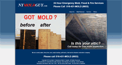 Desktop Screenshot of nymoldguy.com