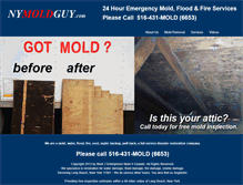 Tablet Screenshot of nymoldguy.com